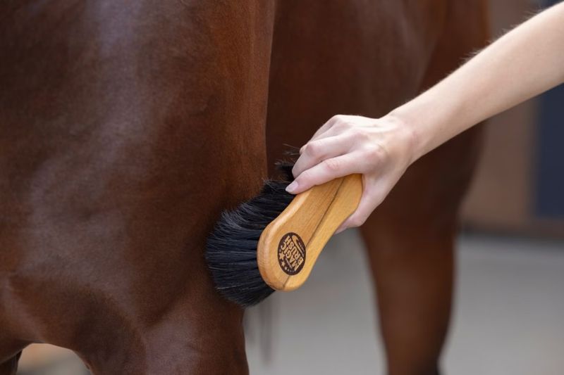 MagicBrush Cleaning Brush Coarse Wood Arenga