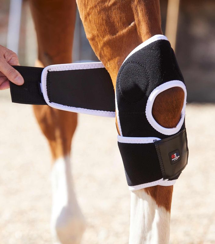 Premier Equine Magnetbelegg Til Haser