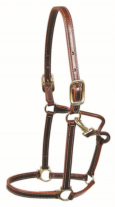 Hovedbilde Walsh showman halter