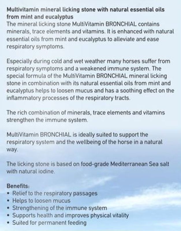 Imima Mineralstein Multivitamin Bronchial