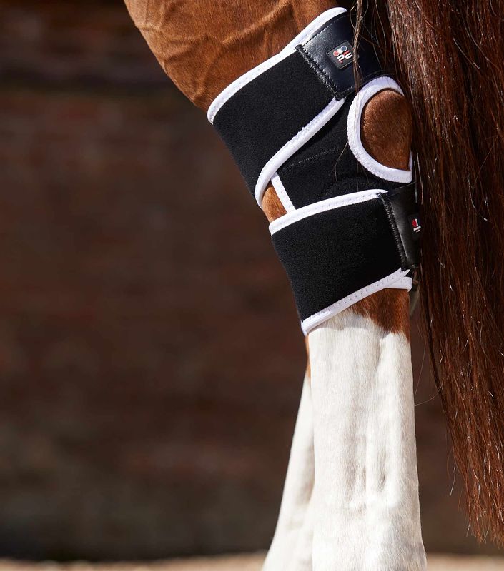 Premier Equine Magnetbelegg Til Haser