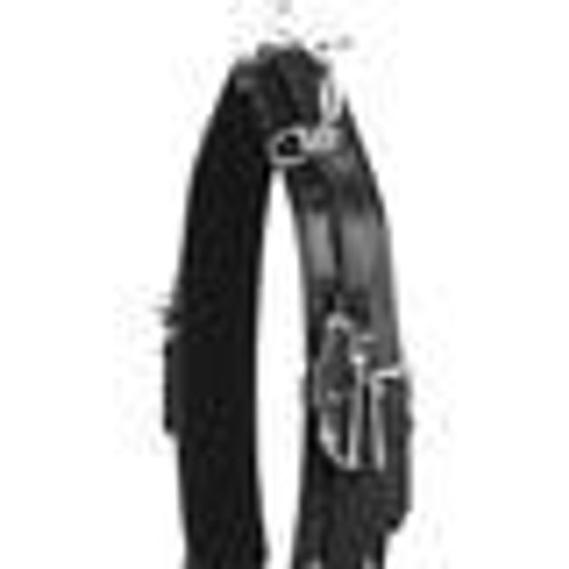 Wahlsten Premium Next Level Race QH Harness Complete Biothane