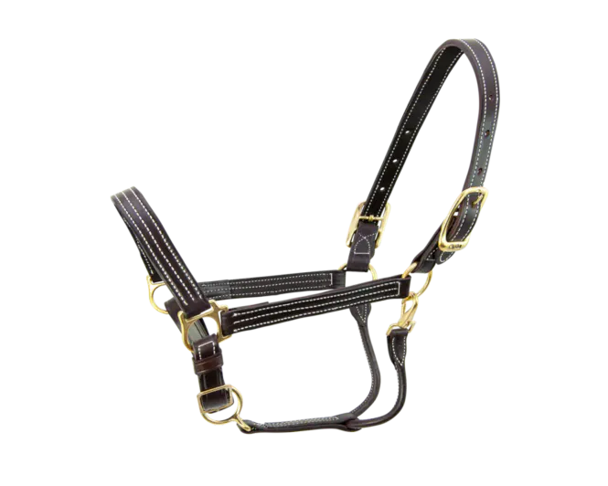 Hovedbilde Walsh Kentucky Halter