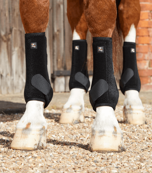 Hovedbilde Premier Equine Air-Tech Sports Medicine Belegg