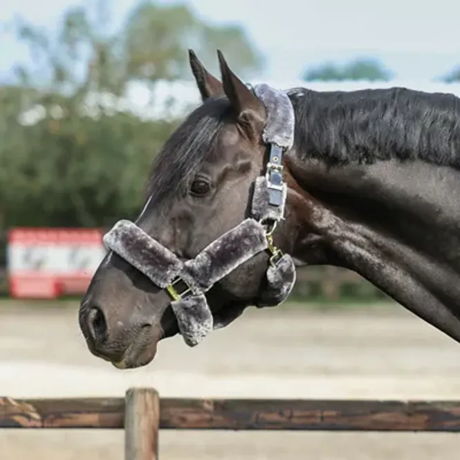 Hovedbilde Bucas Show-Line Halter