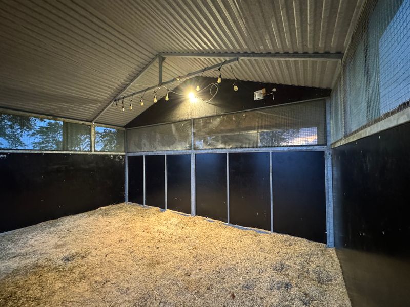 Leskur, liggehall, løsdrift til hest (Contryhus)